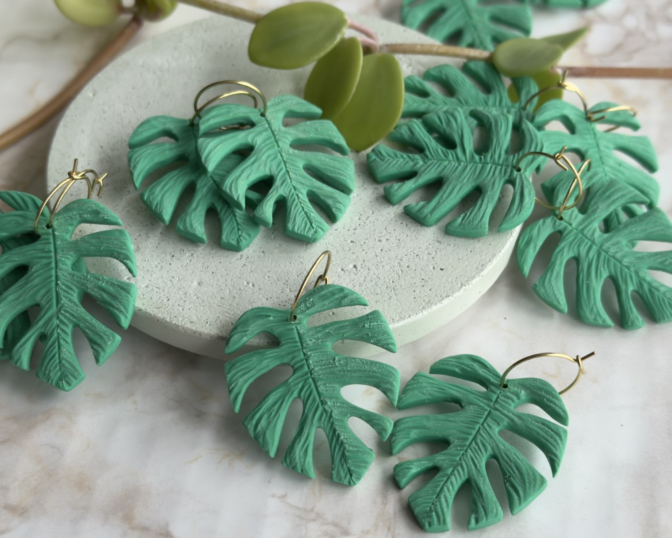 Cercei rotunzi, Frunza Monstera, Monsteria