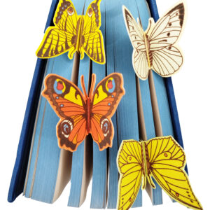 set semne carte fluturasi in carte